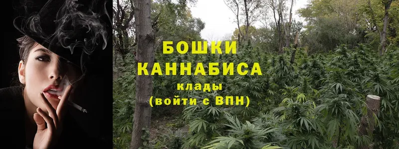 Шишки марихуана White Widow  закладки  Снежногорск 